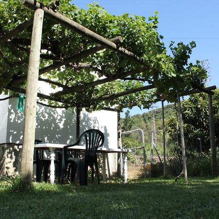 Casa La Maceta Villa Cadiz Dış mekan fotoğraf