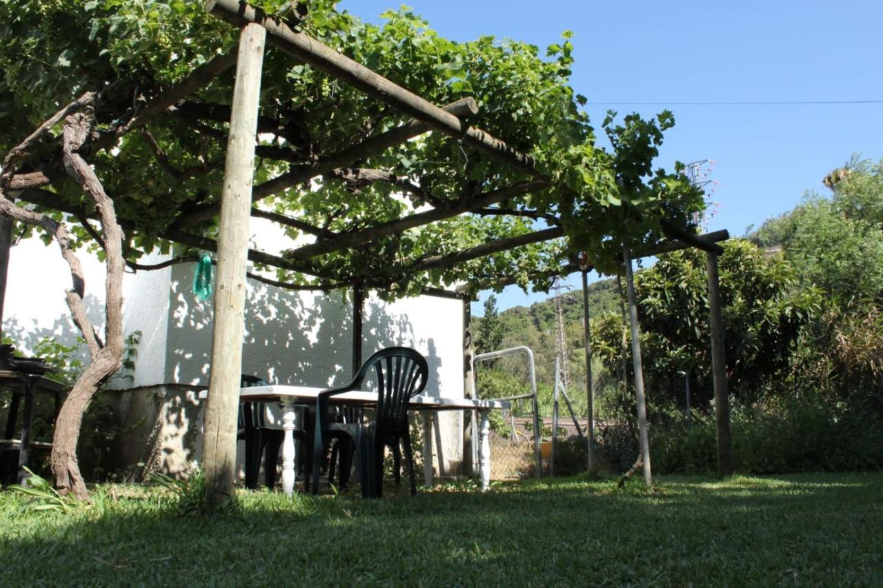 Casa La Maceta Villa Cadiz Dış mekan fotoğraf