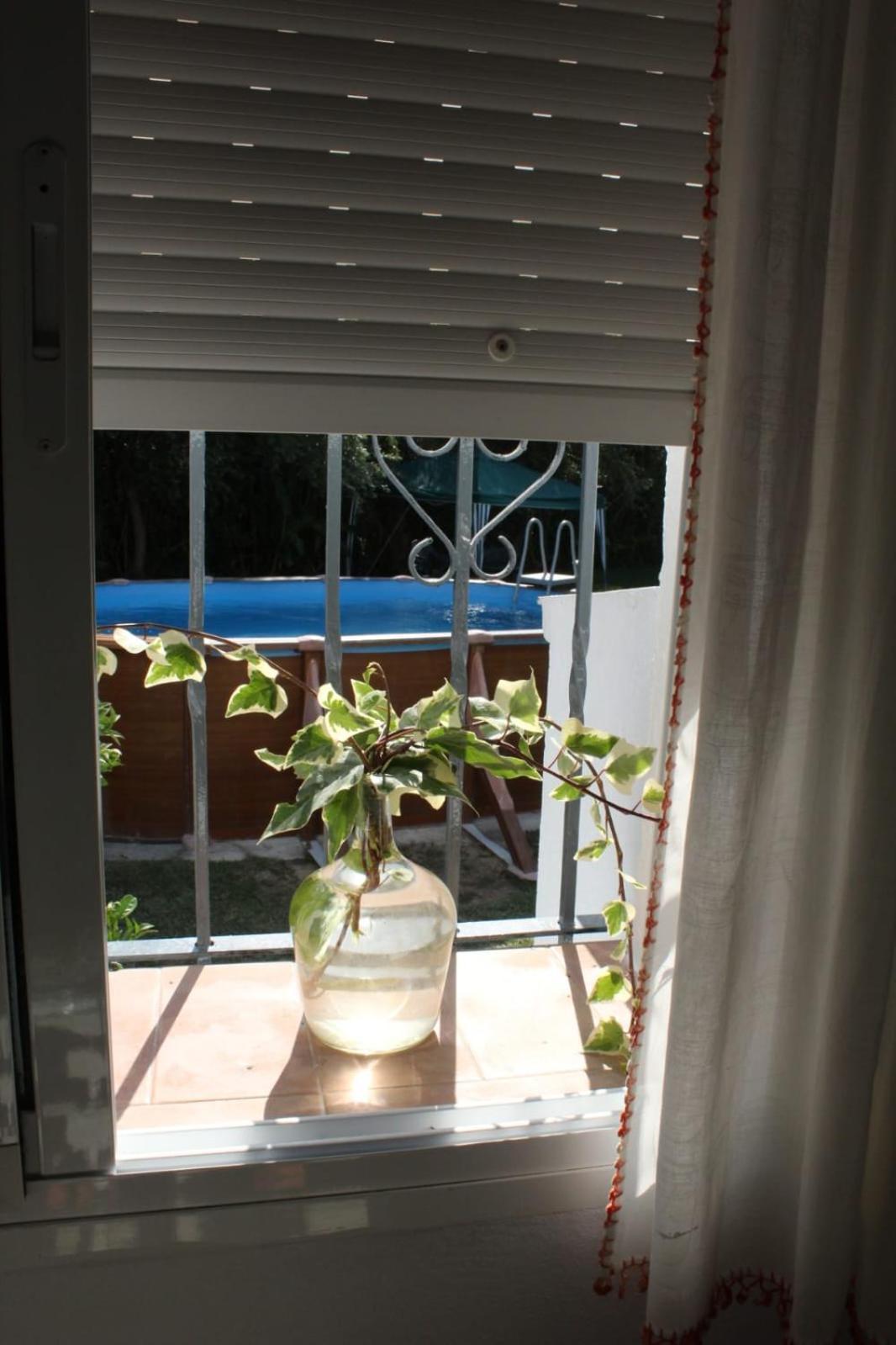 Casa La Maceta Villa Cadiz Dış mekan fotoğraf
