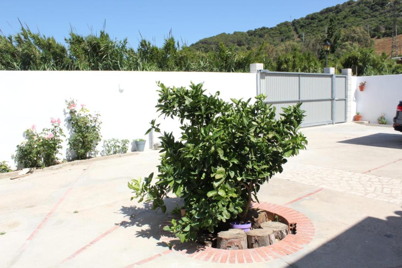 Casa La Maceta Villa Cadiz Dış mekan fotoğraf
